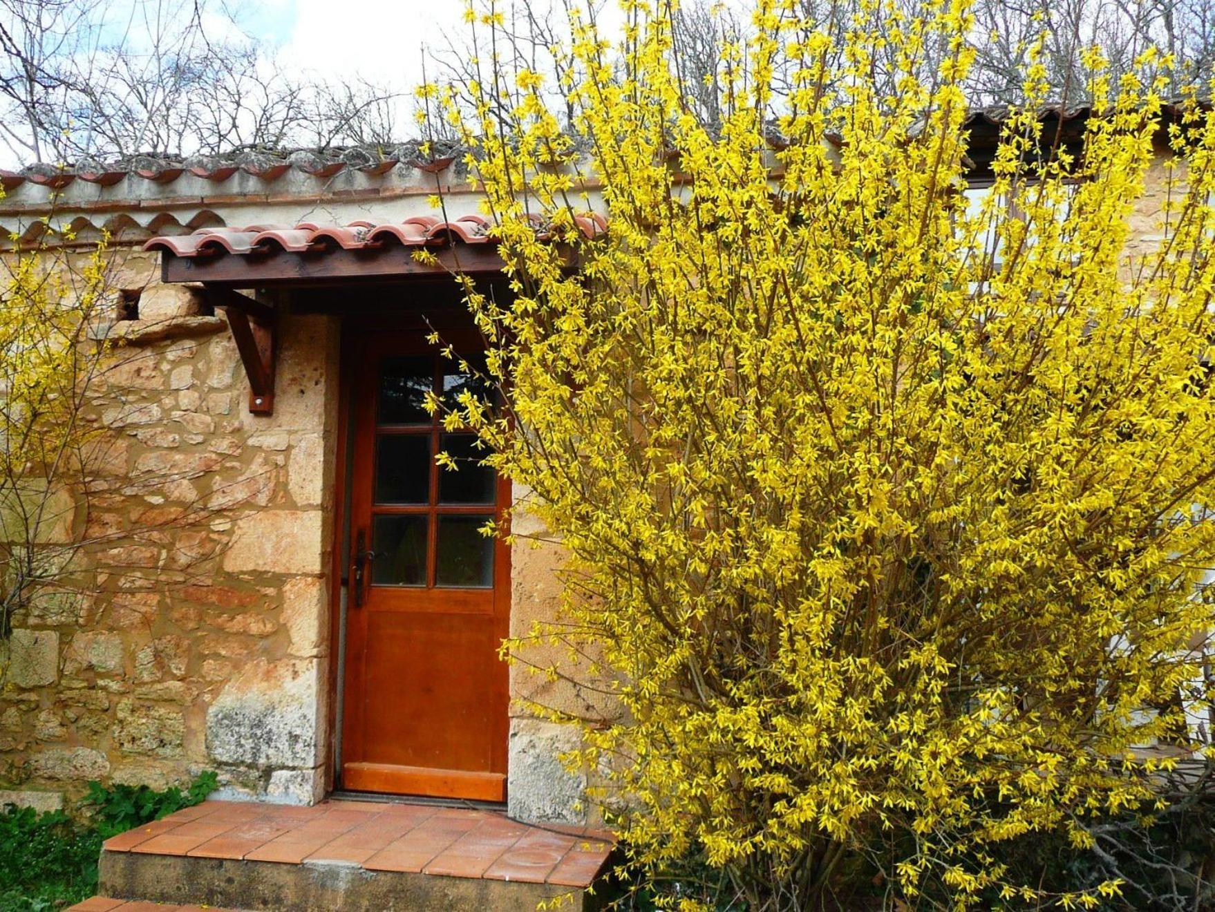 Domaine De Gavaudun Villa Oda fotoğraf